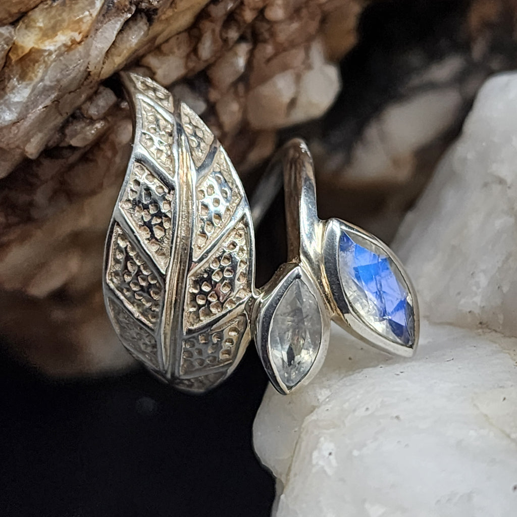 w/Morning View / 8.5