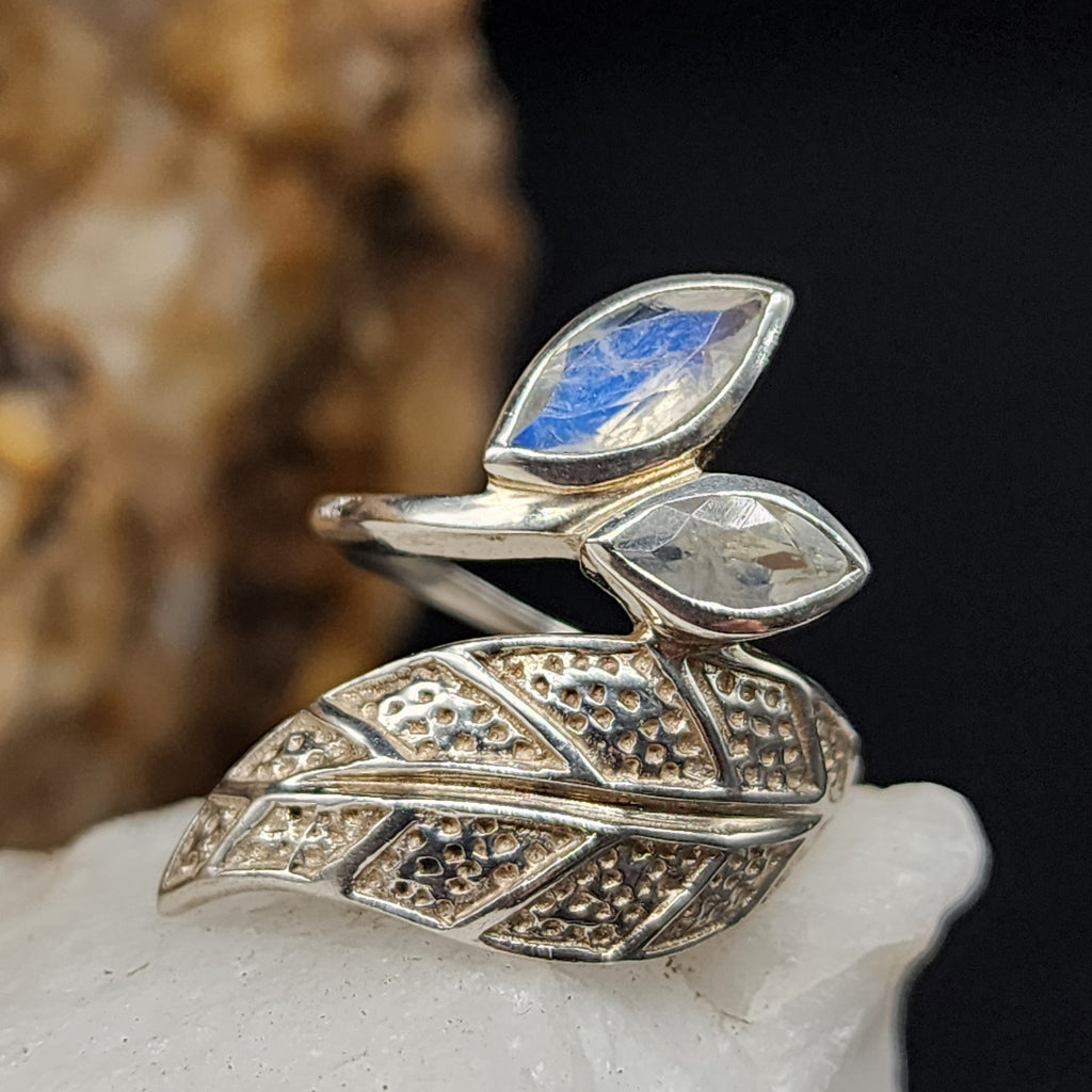 w/Morning View / 8.5