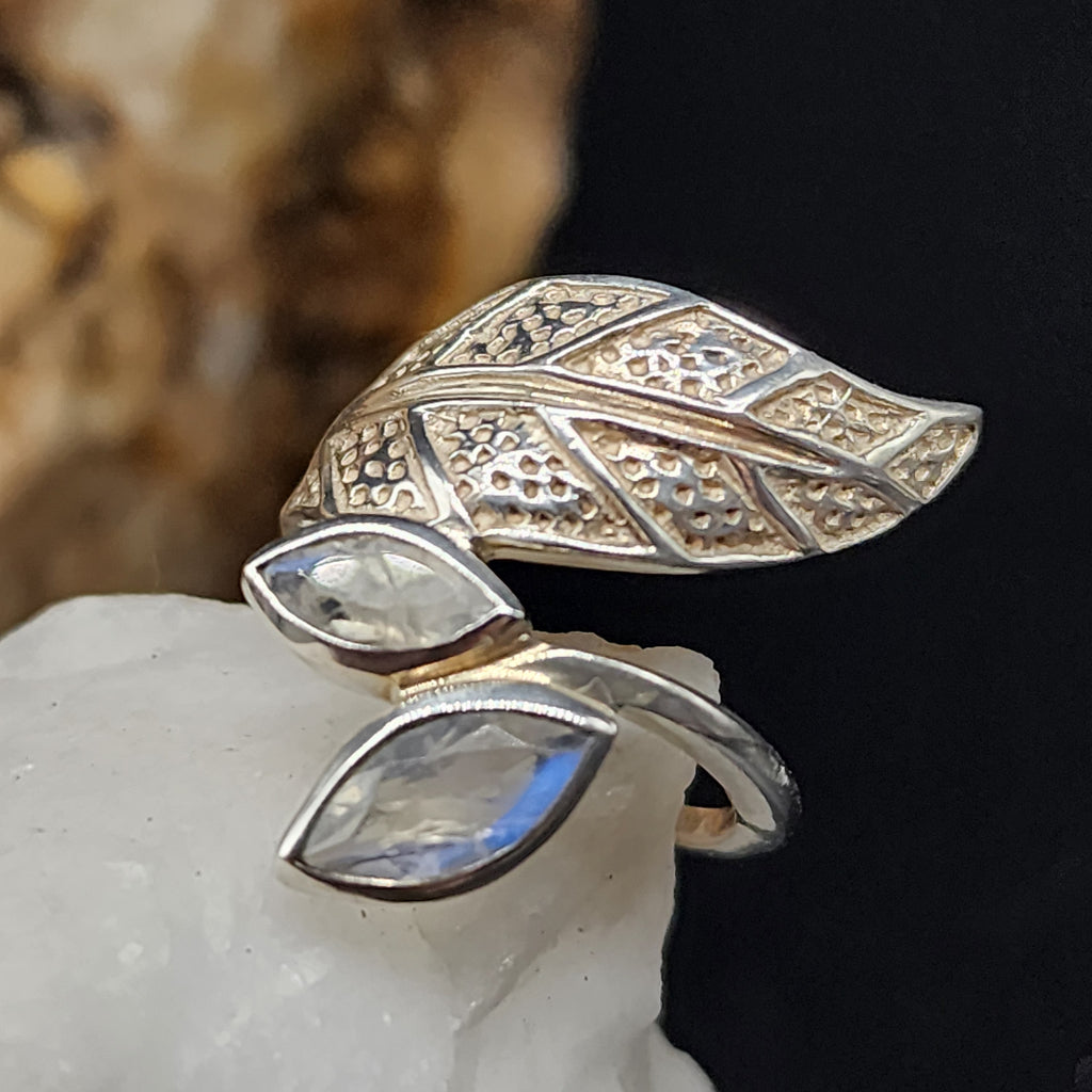 w/Morning View / 8.5