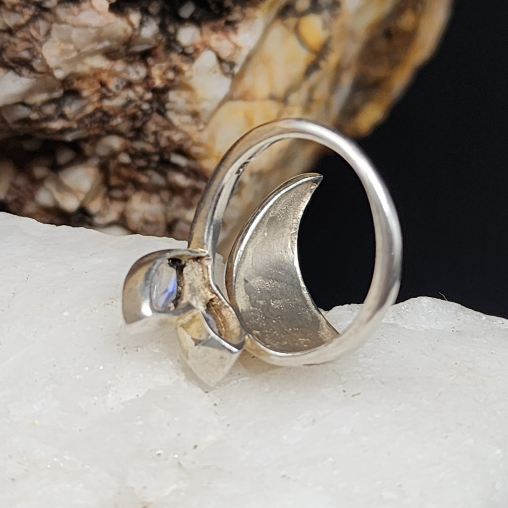 w/Morning View / 8.5