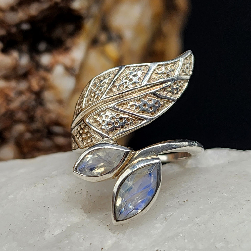 w/Morning View / 8.5