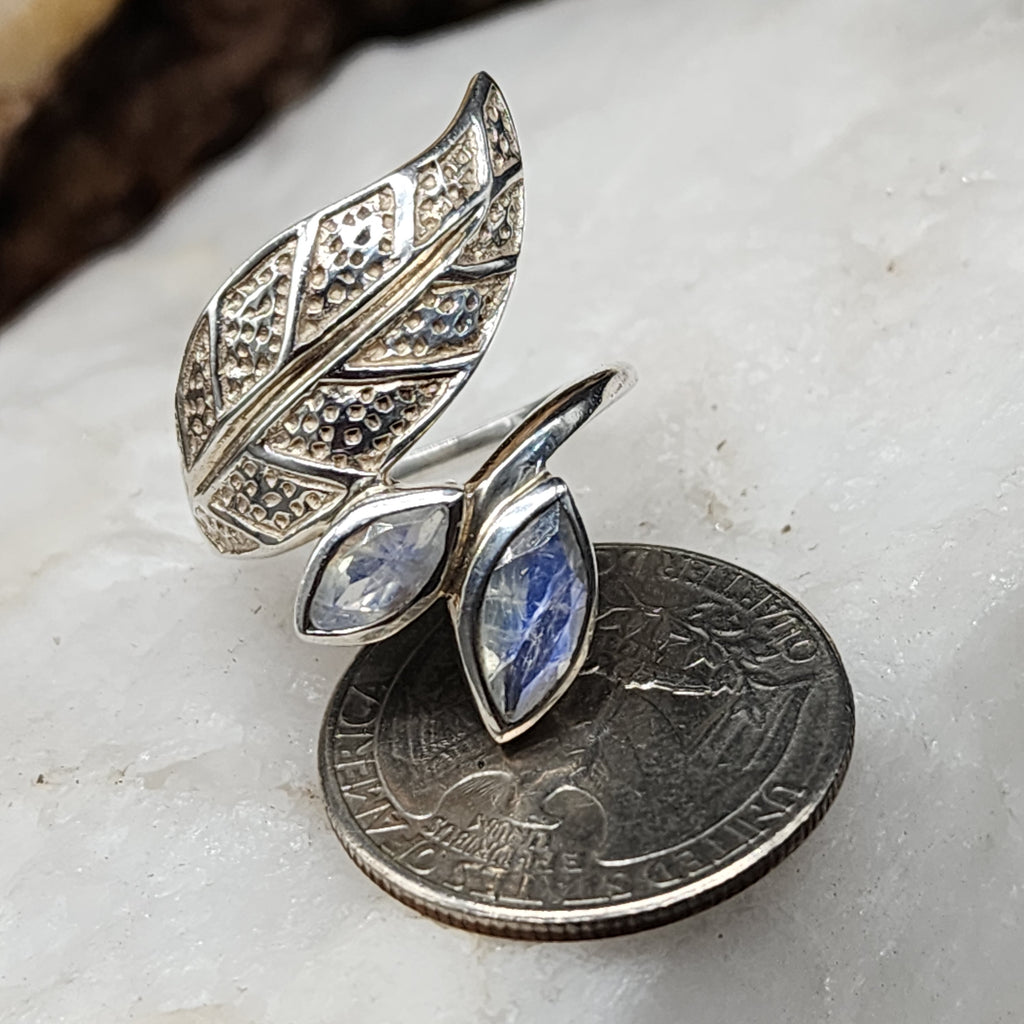 w/Morning View / 8.5