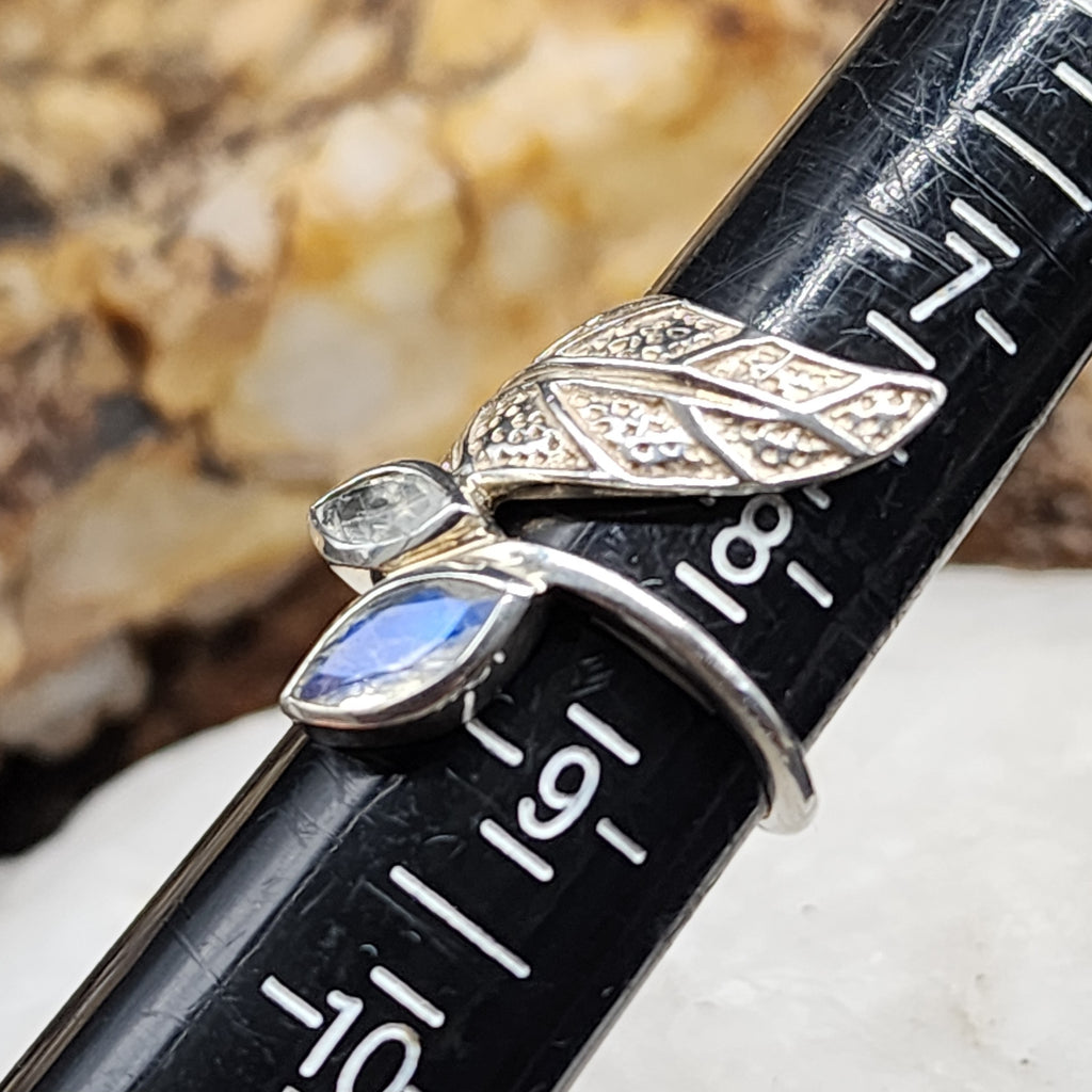 w/Morning View / 8.5