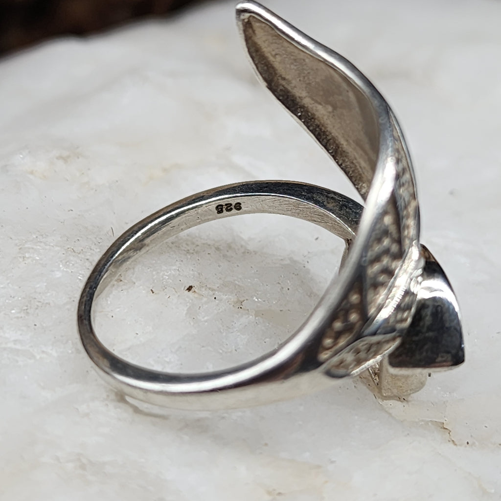 w/Morning View / 8.5