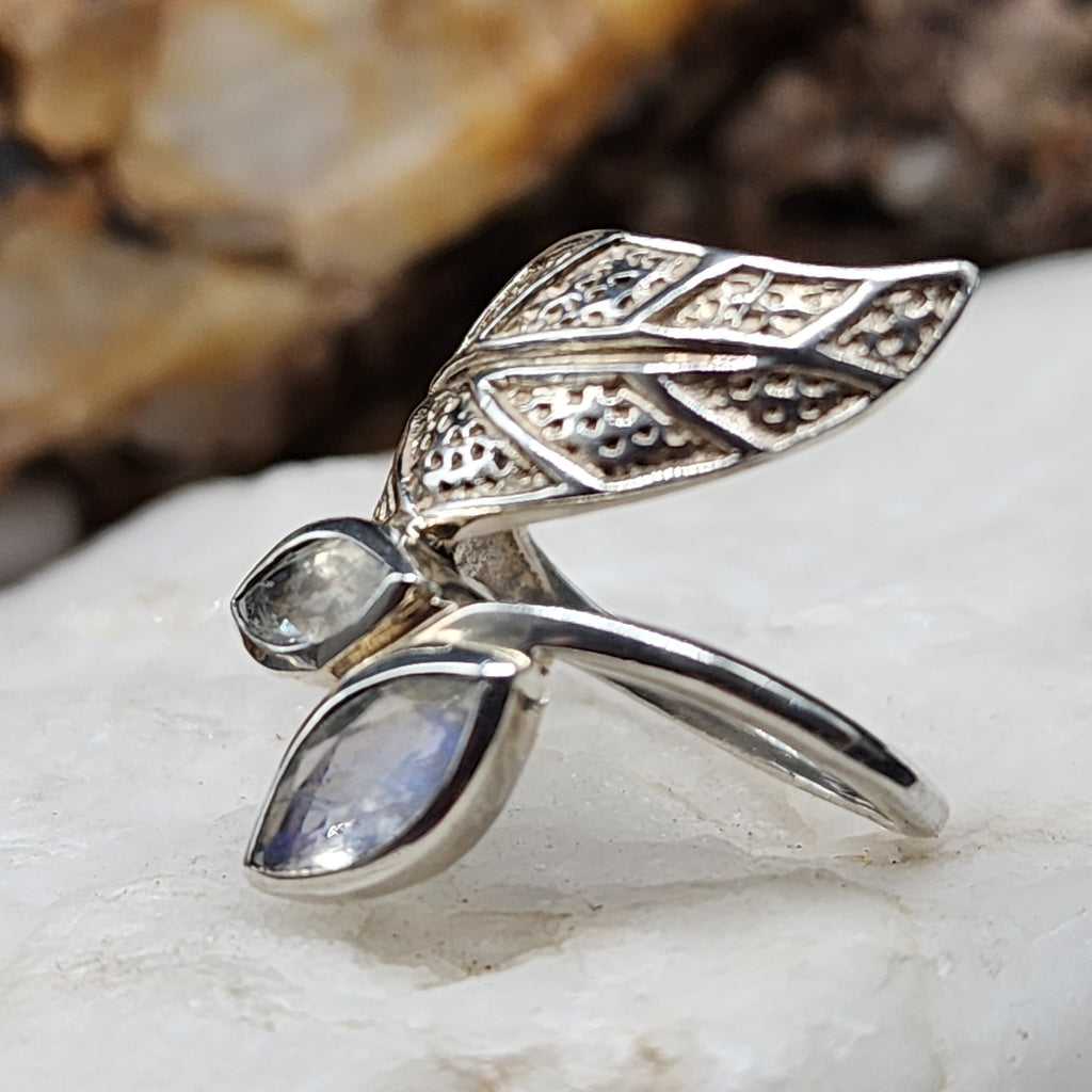 w/Morning View / 8.5