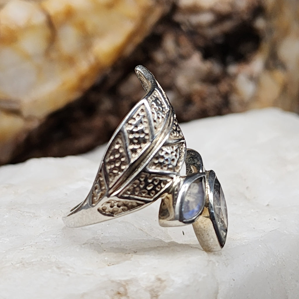 w/Morning View / 8.5