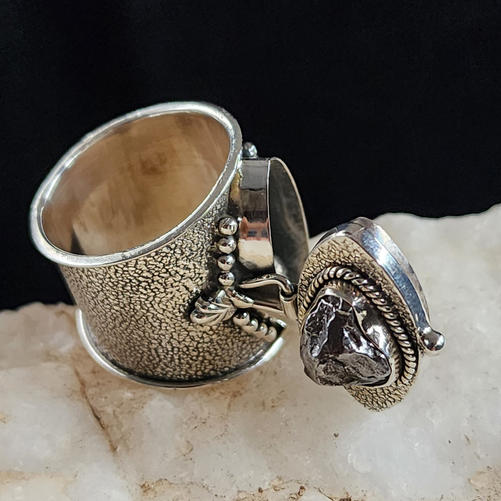 Magie Noire Beast / 9