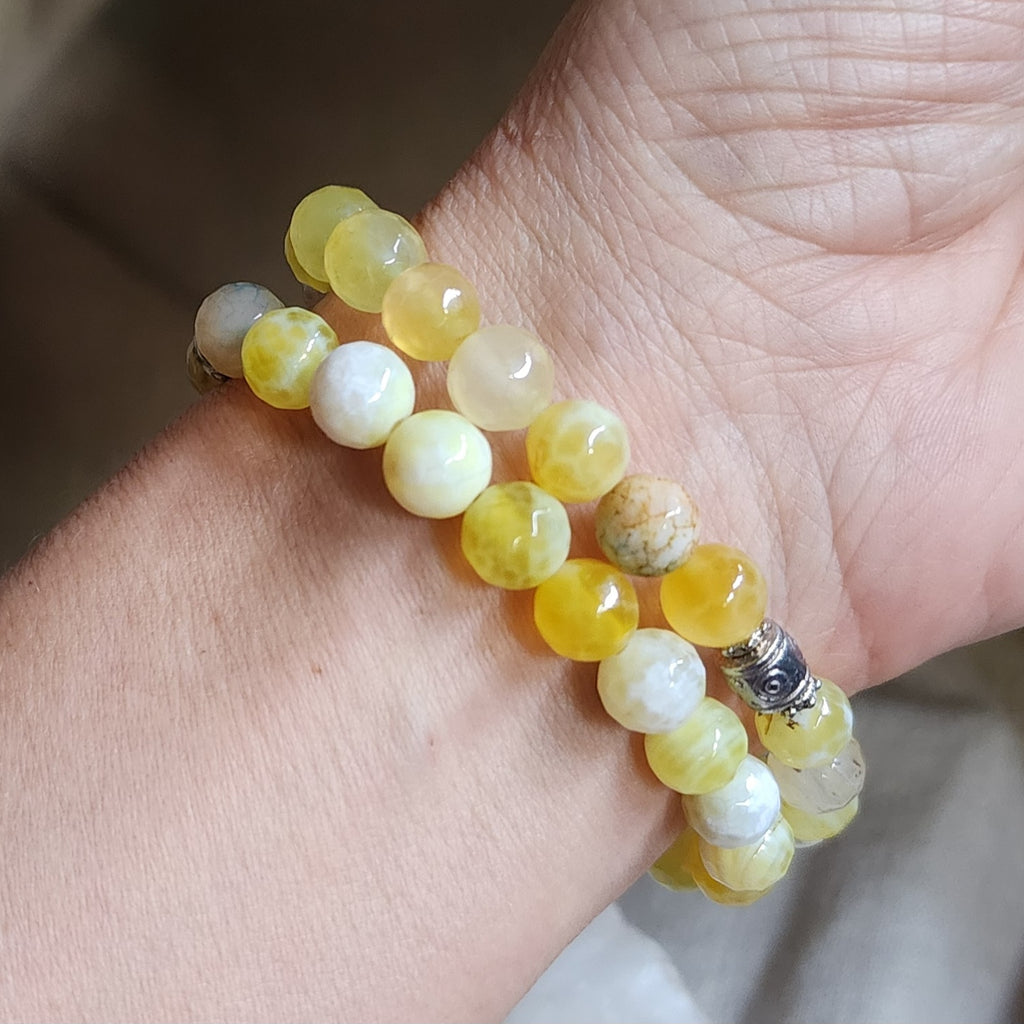 TRUE STORY /Yellow Safari/ 7