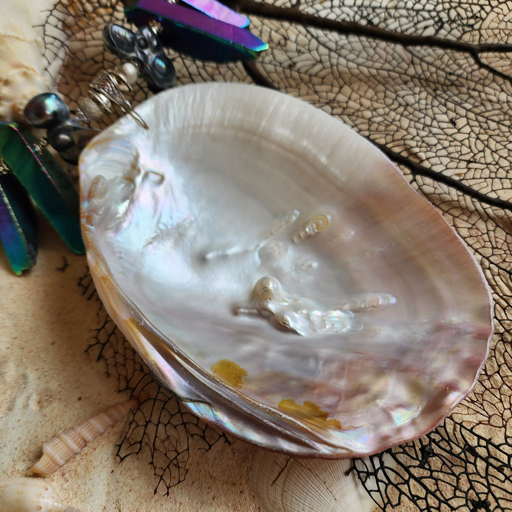 Over Horizon / Designer Jewelry Large Ocean  Big Shell Necklace Mother Of Pearl Necklace Baroque Pearl  Black Tahitian Pearl