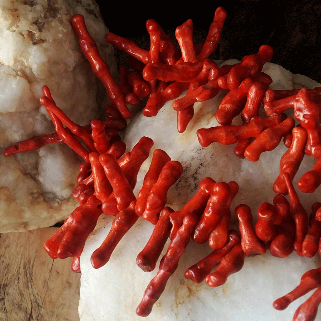 Alghero / Designer Coral Jewelry Natural Red Coral Necklace Premium Italian Coral Alghero Coral Genuine Stones Necklace Gift for Lady