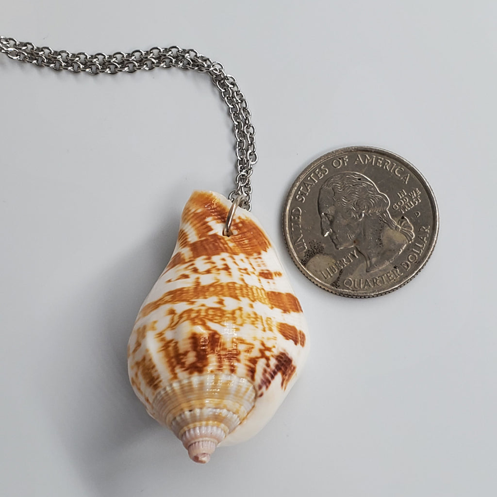 A LITTLE MEMORIES / Designer Silver Necklace Chic Natural Shell Centerpiece Elegant Handmade Minimalist Jewelry Gift for Her