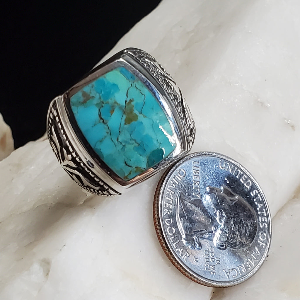 Bohemian Stunner / 10.2