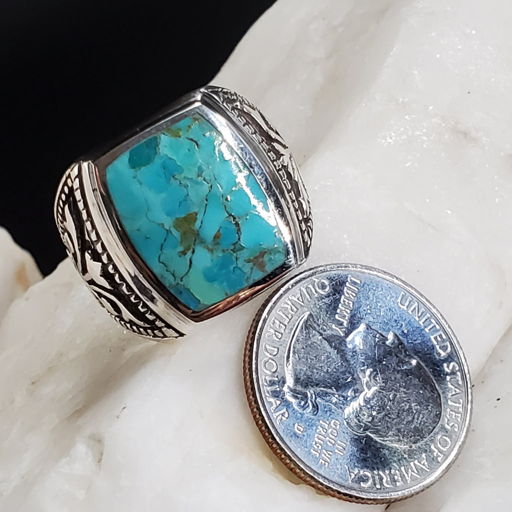 Bohemian Stunner / 10.2