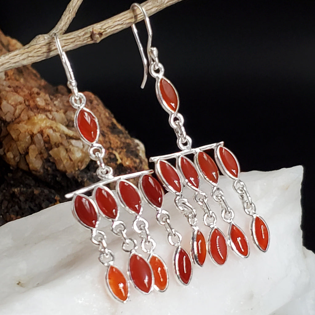 Feeling Groovy / Floral Jewelry Silver Earrings Natural Carnelian Stone Hypoallergenic Jewelry Most Popular Jewelry Gift For Women