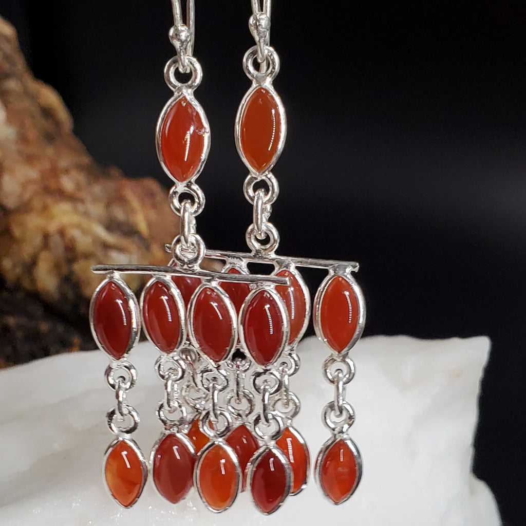 Feeling Groovy / Floral Jewelry Silver Earrings Natural Carnelian Stone Hypoallergenic Jewelry Most Popular Jewelry Gift For Women