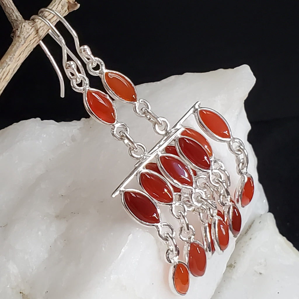 Feeling Groovy / Floral Jewelry Silver Earrings Natural Carnelian Stone Hypoallergenic Jewelry Most Popular Jewelry Gift For Women