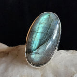 Coyote Crystal / 9.2