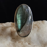 Coyote Crystal / 9.2