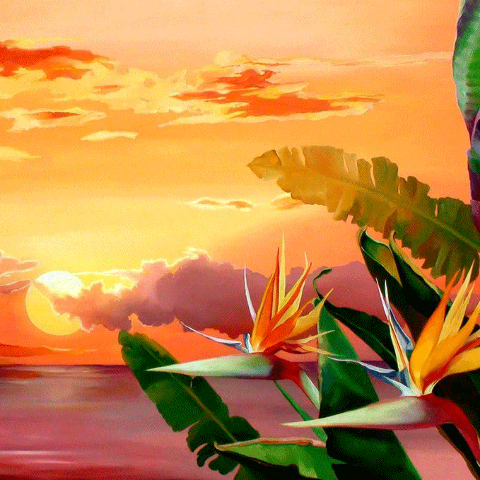 Sunset Watchers
