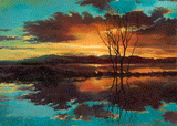 Serenity