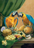 Mr And Mrs. Parrot