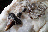 Crystal Clear Gemma’s Limited /  Artisan Boho Necklace Designer Jewelry Tooth Pendant Unique Long Necklace Jewelry Gift For Lady