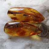 Got What I Need / Designer Jewelry Raw Amber Stone Pendant Hypoallergenic Leather Necklace with Natural Amber Gift for Momen